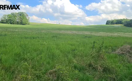 Prodej louky 7 058 m², Čížkov, okres Plzeň-Jih