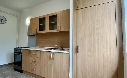 Pronájem bytu 1+1 38 m²