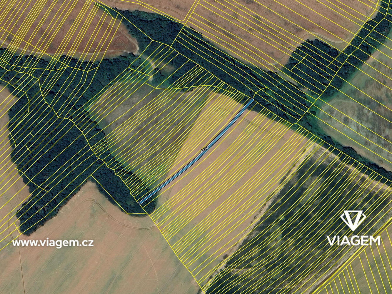 Prodej pole 500 m² – fotografie 4