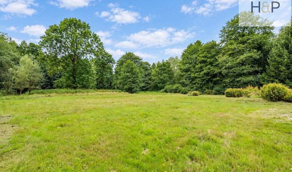 Prodej chaty/chalupy 250 m² s pozemkem 5 622 m², Králíky – náhled fotky 11