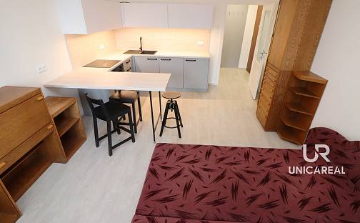 Pronájem bytu 1+kk 32 m², Tábor, Brno - Žabovřesky