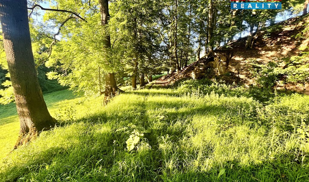 Prodej louky 5 449 m², Teplice nad Metují – náhled fotky 12