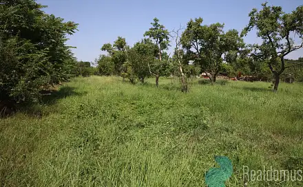 Prodej stavebního pozemku 885 m², Litobratřice, okres Znojmo