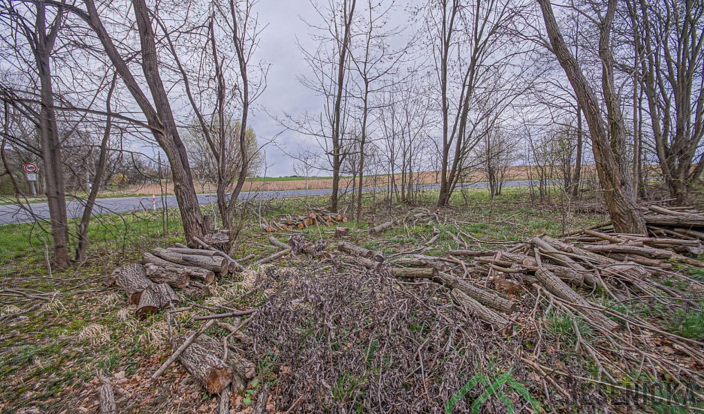 Prodej pole 6 787 m², Mikulovice – náhled fotky 7
