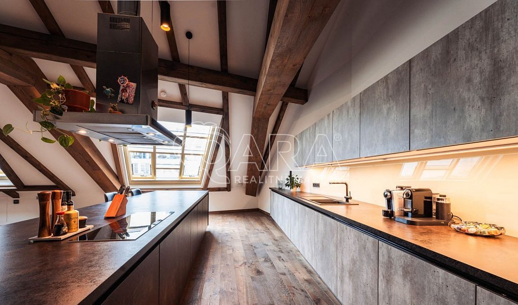 Pronájem bytu 5+kk 335 m², Praha – náhled fotky 5