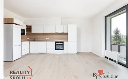 Pronájem bytu 3+kk 85 m², Kartónová, Plzeň - Východní Předměstí