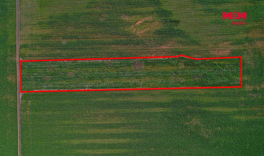 Prodej pole 9 227 m², Podivín – náhled fotky 7