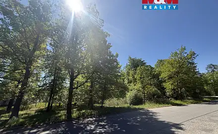 Prodej lesa 3 807 m², Býšť, okres Pardubice