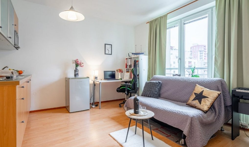 Pronájem bytu 1+kk 33 m², Praha – náhled fotky 9