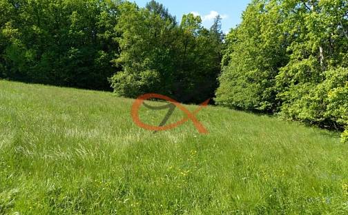 Prodej stavebního pozemku 9 208 m², Háj ve Slezsku, okres Opava