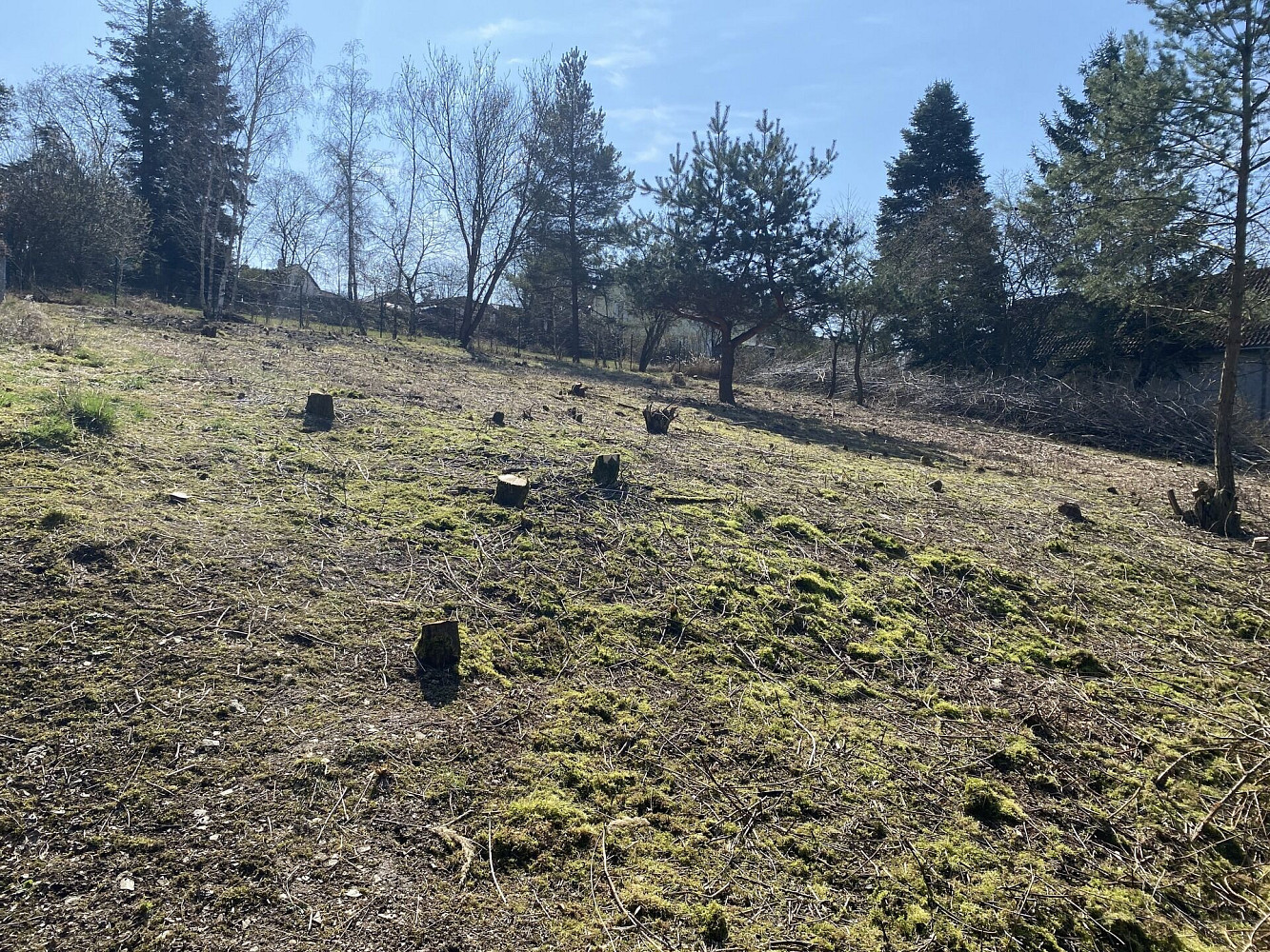 Prodej stavebního pozemku 1 291 m² — photo 4