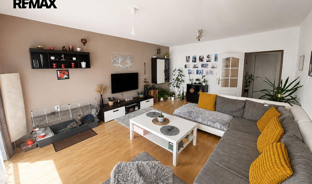 Prodej domu 286 m² s pozemkem 2 380 m², Dolní Moravice – náhled fotky 11