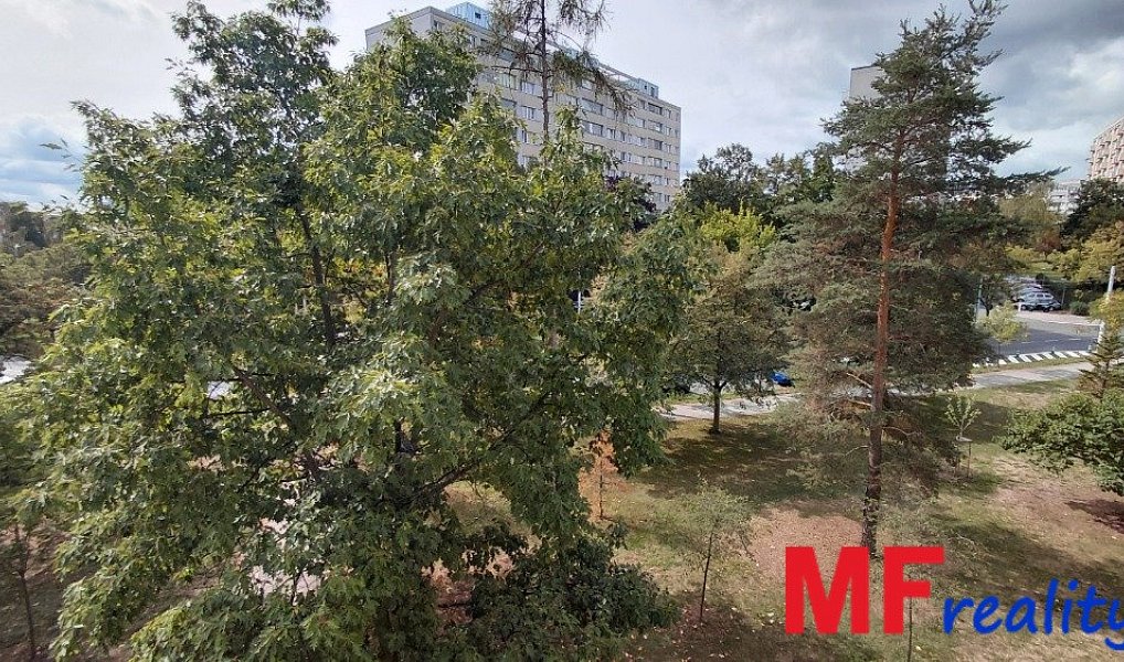 Pronájem bytu 3+1 59 m², Hradec Králové – náhled fotky 9
