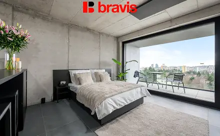 Pronájem bytu 1+kk 48 m², Královopolská, Brno - Žabovřesky