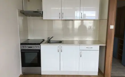 Pronájem bytu 1+1 41 m², Bratislavská, Teplice - Řetenice