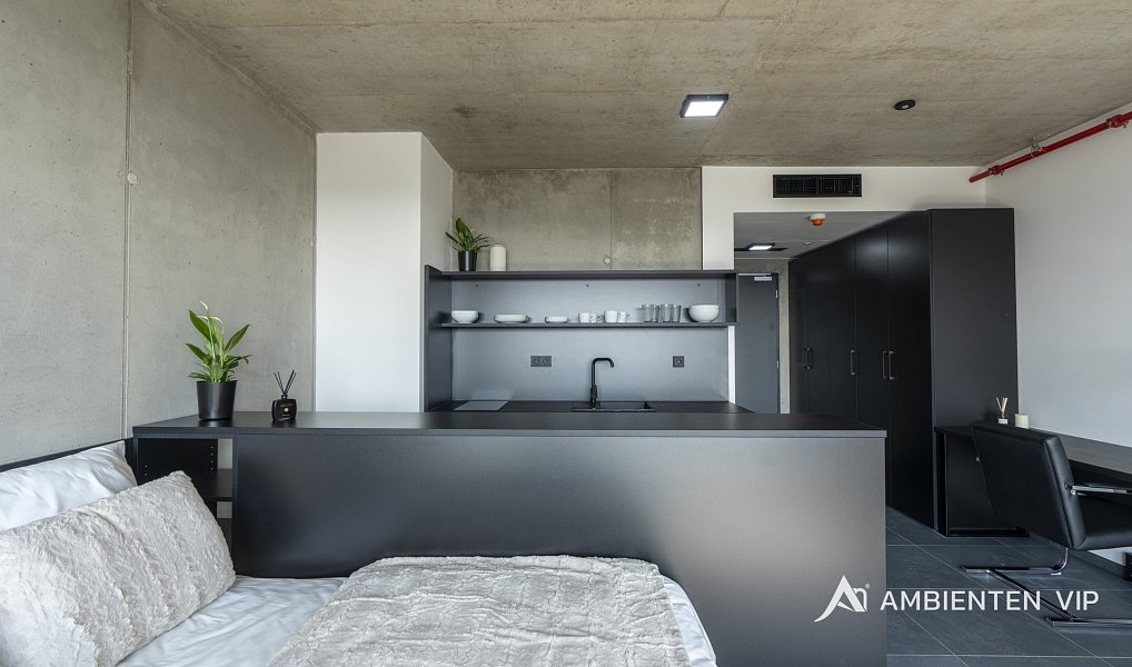 Pronájem bytu 1+kk 35 m², Brno – náhled fotky 9