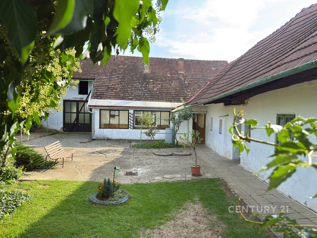 Prodej domu 114 m² s pozemkem 2 707 m² – fotografie 4