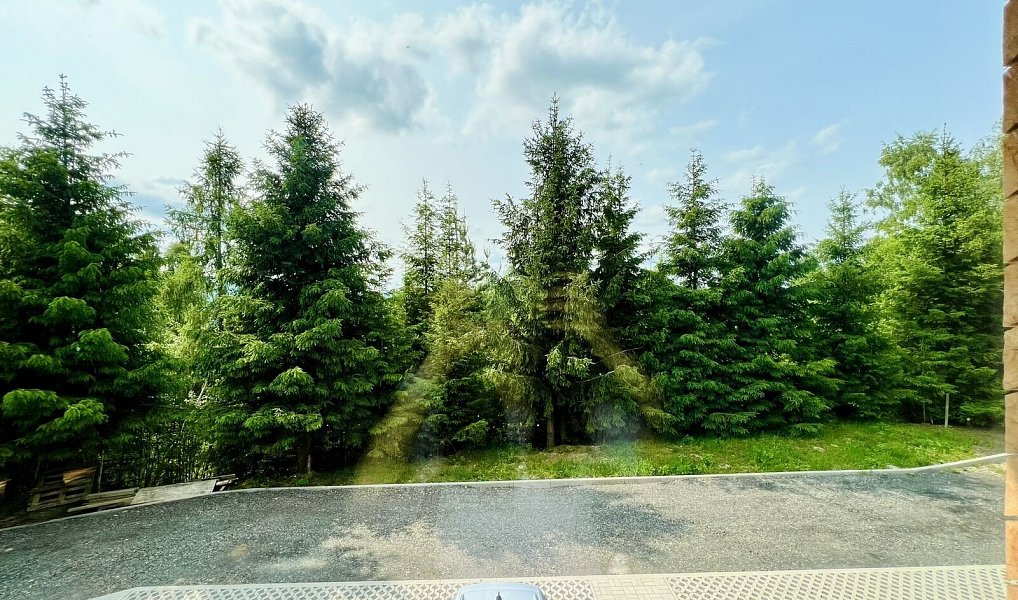 Prodej bytu 2+kk 55 m², Železná Ruda – náhled fotky 19