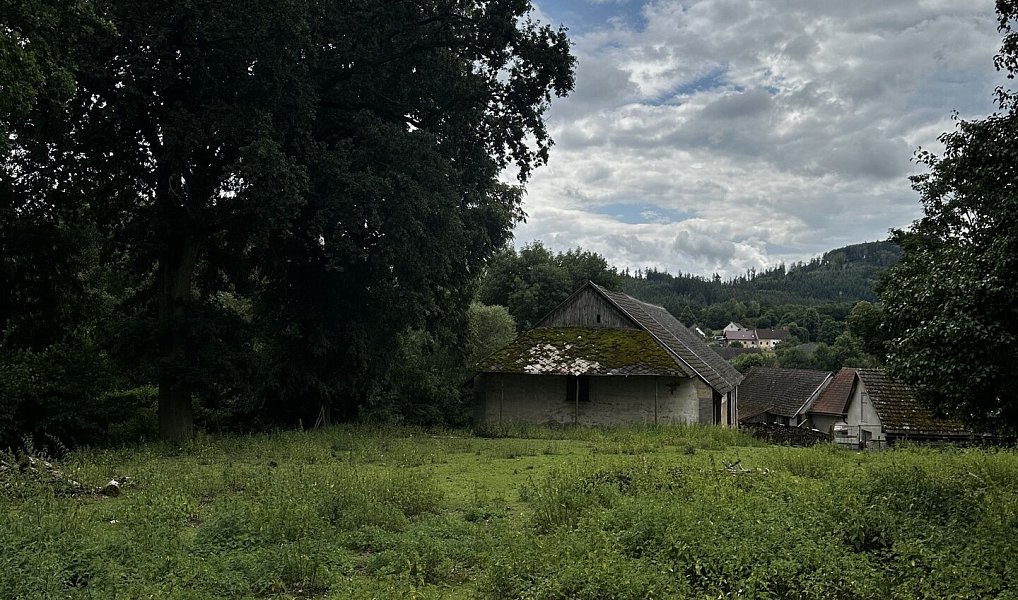 Prodej stavebního pozemku 4 058 m², Čížkov – náhled fotky 2