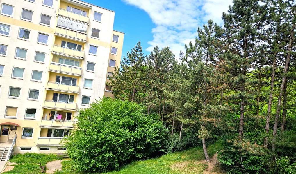 Pronájem bytu 1+kk 32 m², Ústí nad Labem – náhled fotky 8