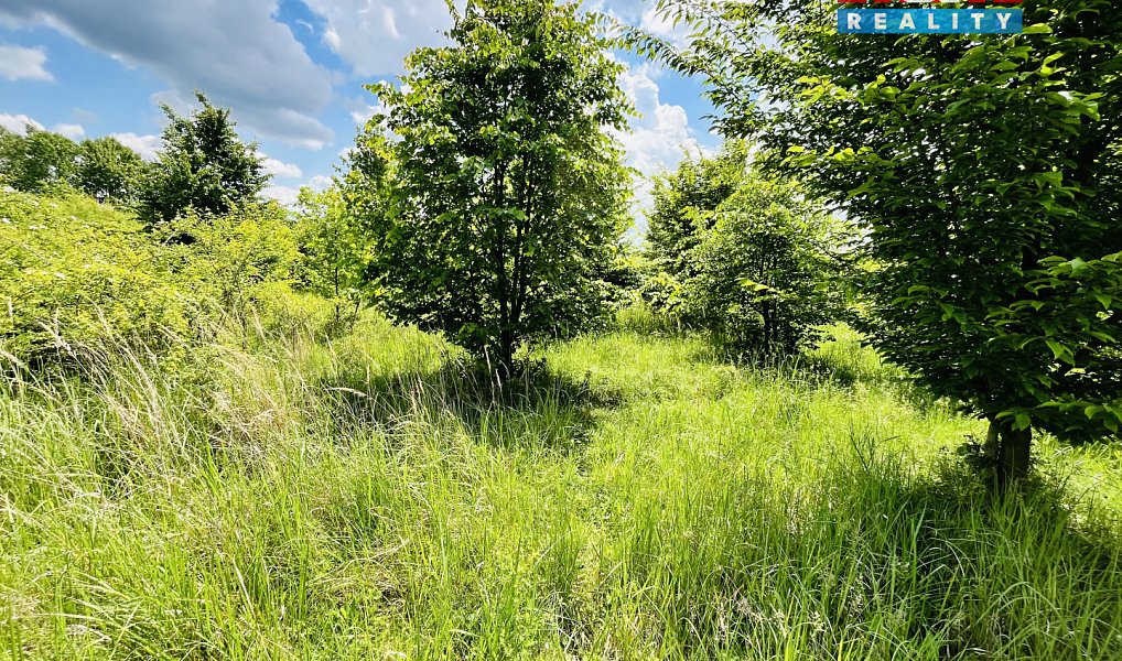 Prodej pozemku 1 026 m², Veselí nad Moravou – náhled fotky 10
