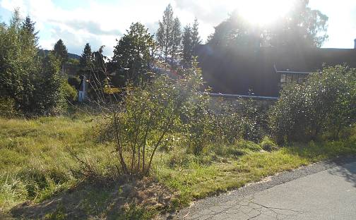Prodej stavebního pozemku 850 m², Dolní Podluží, okres Děčín