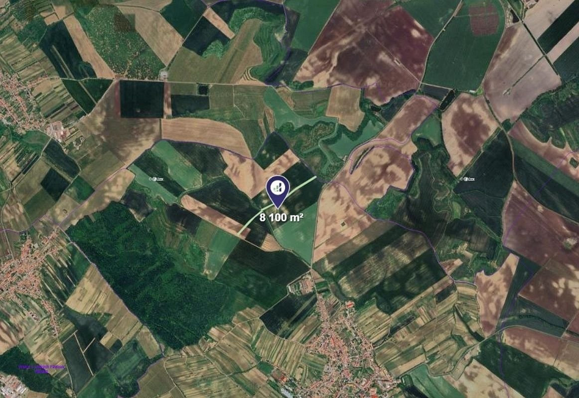 Prodej pole 8 100 m² – fotografie 2