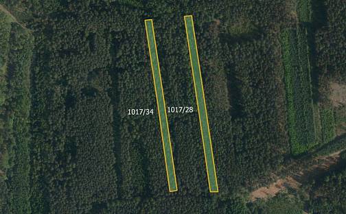 Prodej lesa 15 835 m², Zaječice, okres Chrudim