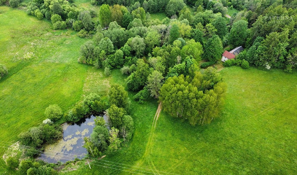Prodej chaty/chalupy 120 m² s pozemkem 34 800 m², Zdíkov – náhled fotky 3