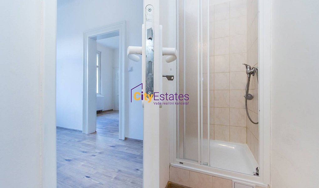Pronájem bytu 1+1 40 m², Praha – náhled fotky 3