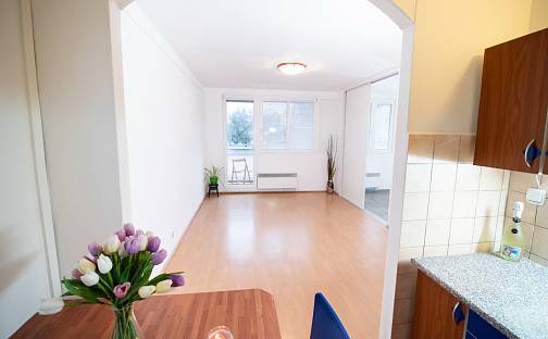 Prodej bytu 2+1 51 m², Nezvalova, Benešov