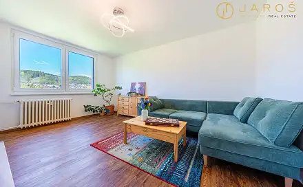 Prodej bytu 3+1 58 m²