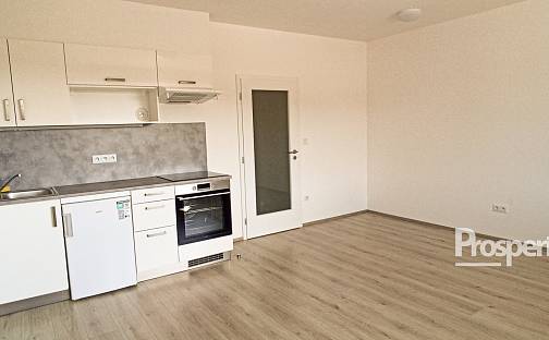Pronájem bytu 1+kk 33 m², Štěpána Rautenstraucha, Kladno