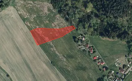 Prodej louky 4 240 m², Míčov-Sušice - Rudov, okres Chrudim
