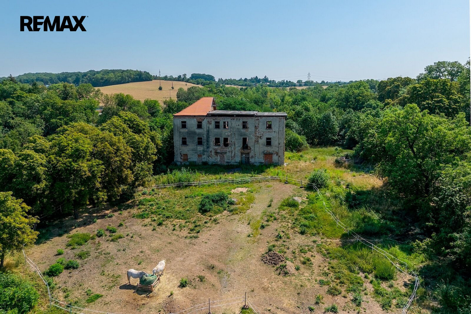Fotka 8 z 23