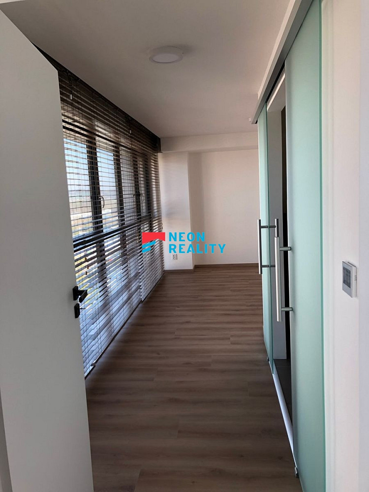 Pronájem bytu 3+kk 115 m² — photo 4