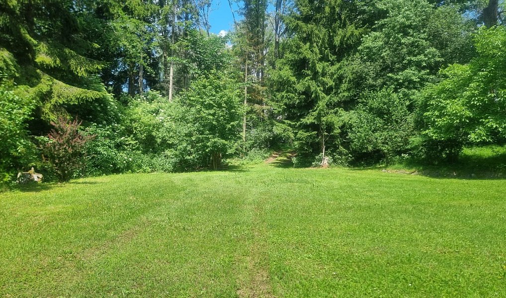 Prodej chaty/chalupy 80 m² s pozemkem 790 m², Černá v Pošumaví – náhled fotky 6