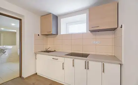 Prodej bytu 2+kk 27 m², Náplatková, Bolatice, okres Opava