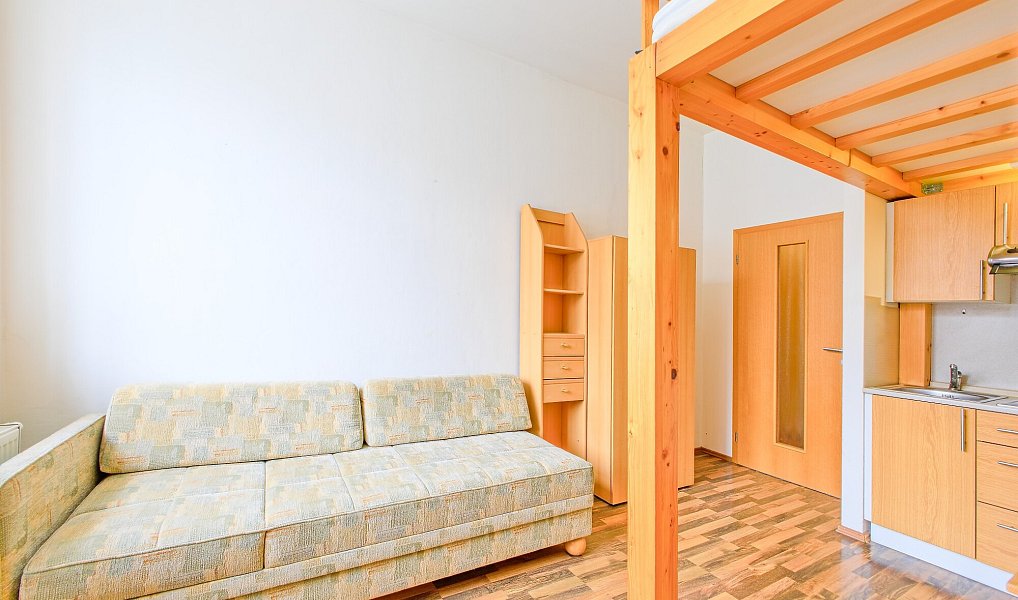 Pronájem bytu 1+kk 20 m², Brno – náhled fotky 5