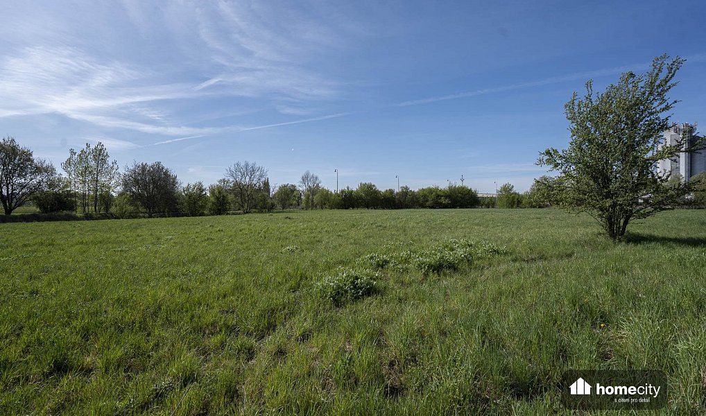 Prodej komerčního pozemku 9 749 m², Smiřice – náhled fotky 2