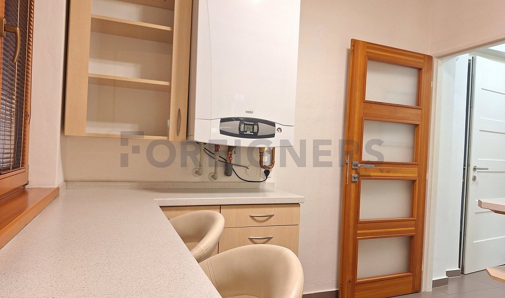 Pronájem bytu 1+1 53 m², Olomouc – náhled fotky 3