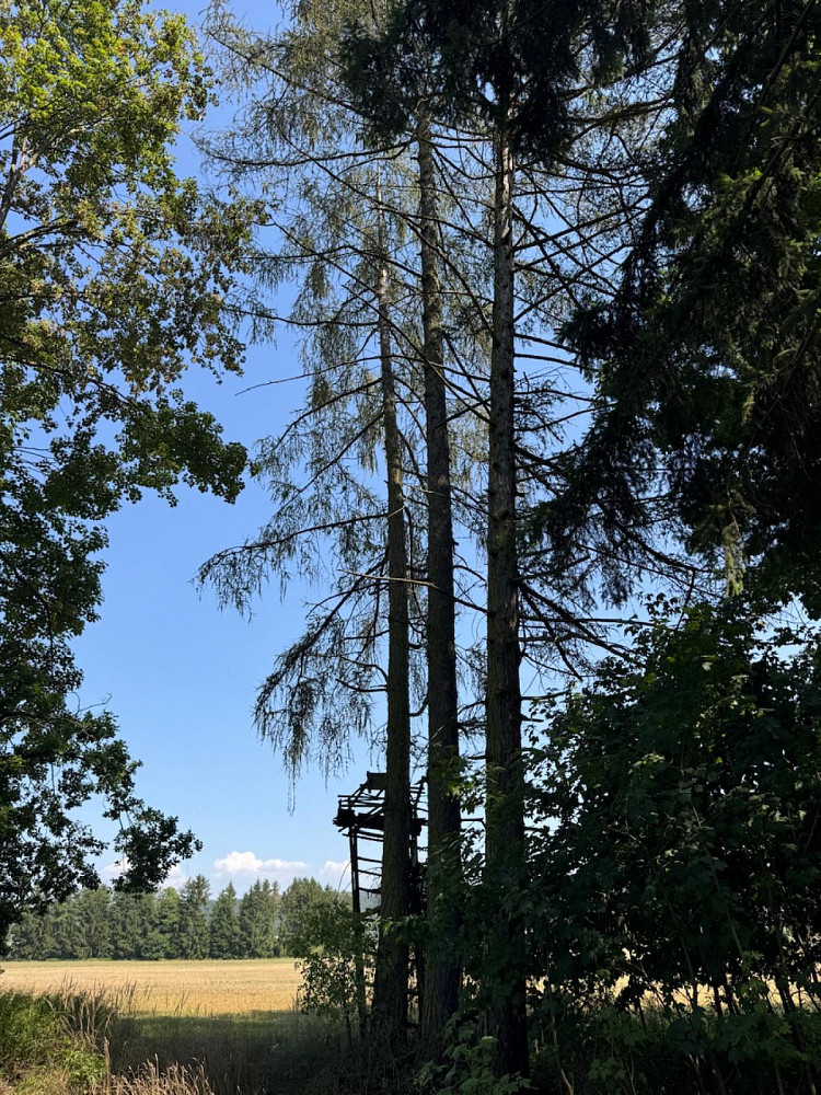 Fotka 6 z 15