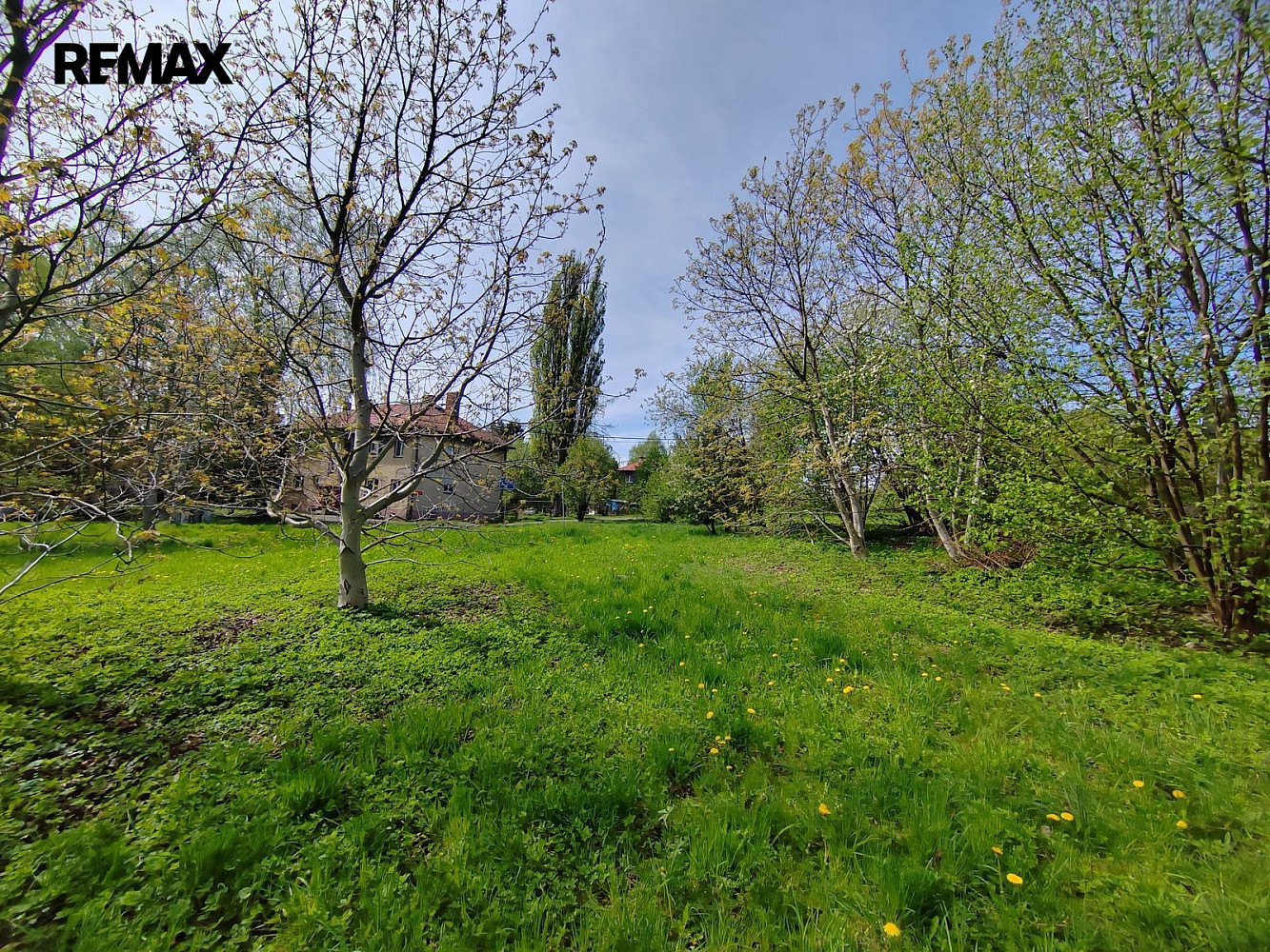 Fotka 10 z 14