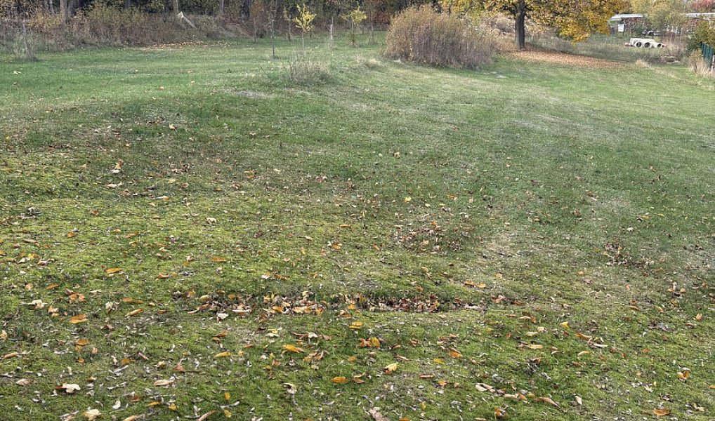 Prodej stavebního pozemku 2 948 m², Grešlové Mýto – náhled fotky 3