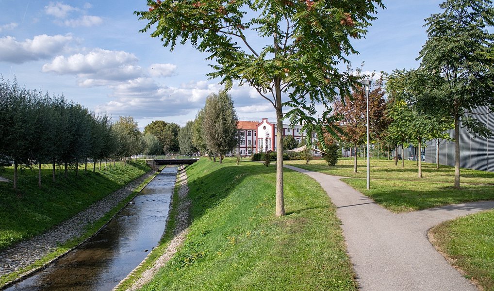 Pronájem kanceláře 765 m², Brno – náhled fotky 6