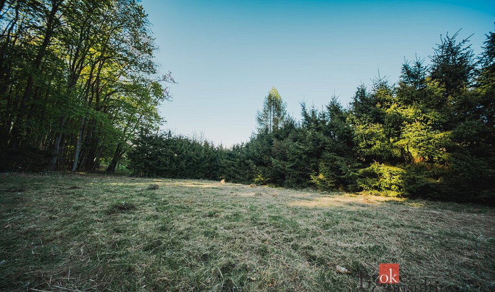Prodej stavebního pozemku 1 284 m², Sušice – náhled fotky 22