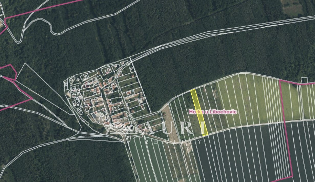 Prodej pole 3 428 m² – fotografie 3