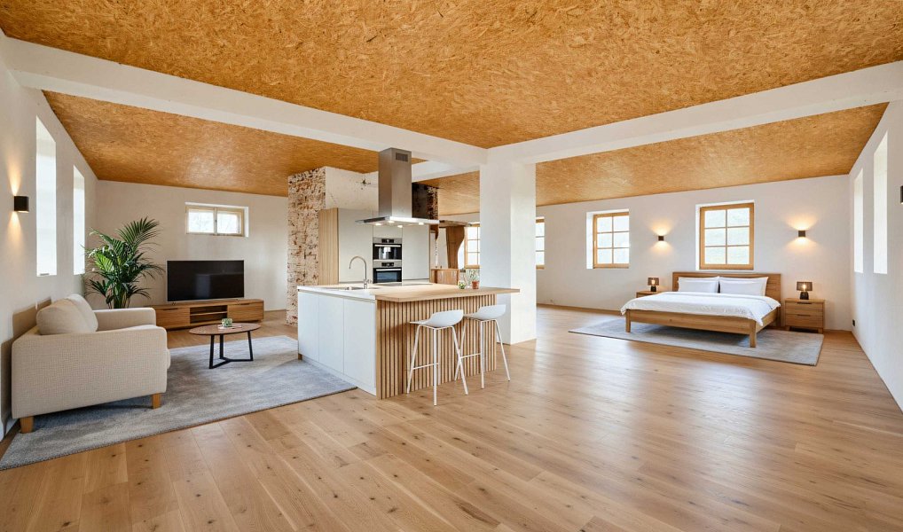 Prodej domu 520 m² s pozemkem 2 024 m², Jindřichův Hradec – náhled fotky 10