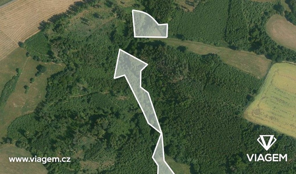 Prodej lesa 6 015 m², Zbizuby – náhled fotky 3