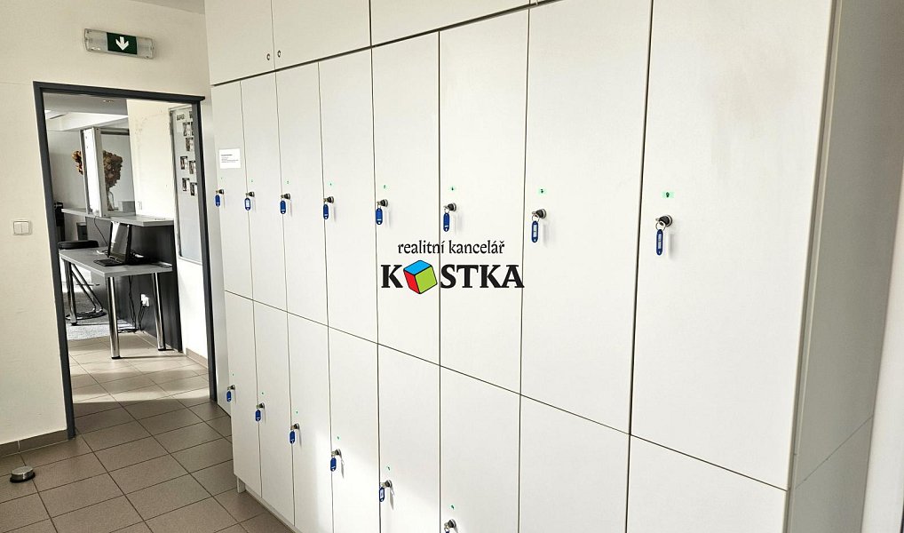 Prodej obchodních prostor 2 500 m², Nový Jičín – náhled fotky 23